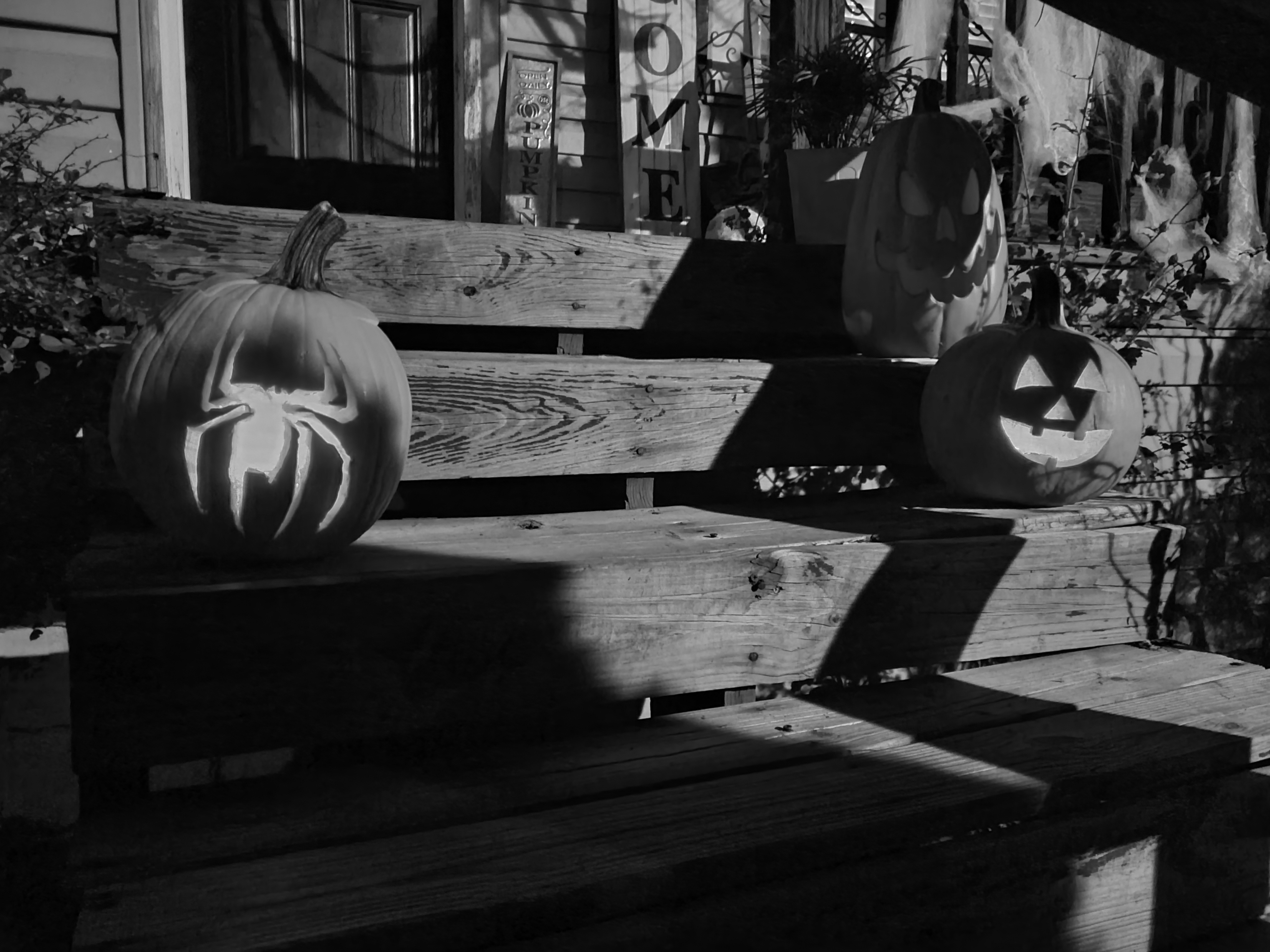 A picture of some jack 0' lanterns.